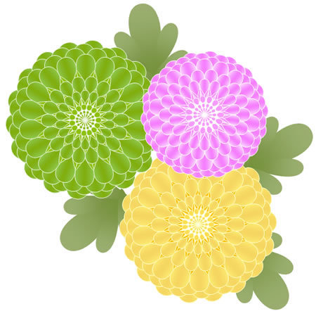 Jpirasuto8gpfni いろいろ 菊 イラスト 描き方 菊 イラスト 描き方
