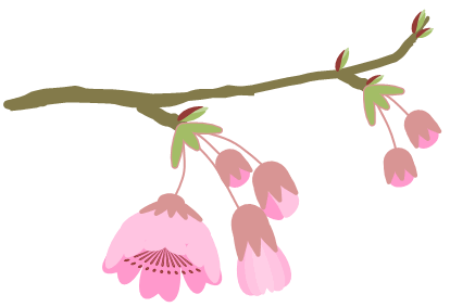 ワードで桜 枝付き を描いてみよう Wordあそび